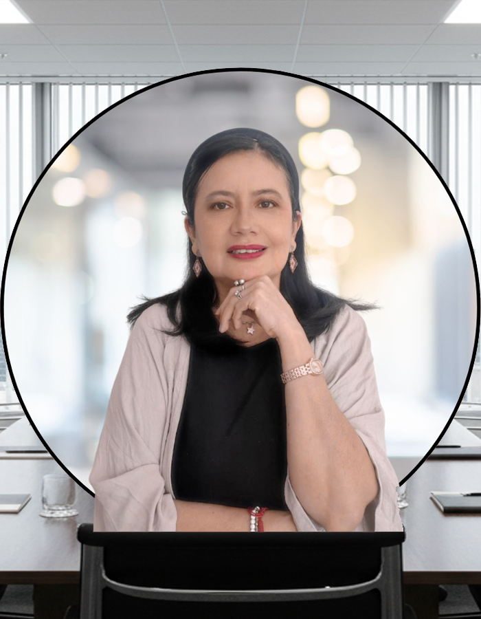 quienes somos mcp2 quienes somos mcp2